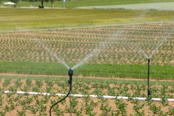 Les 5 critères essentiels pour sélectionner une irrigation commerciale
