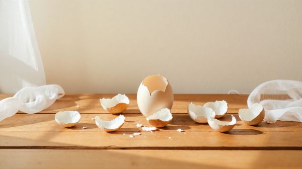 Top 5 astuces pour identifier les œufs de punaises de lit